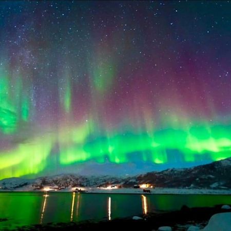 In The Heart Of The Aurora Borealis - Tromso City Extérieur photo