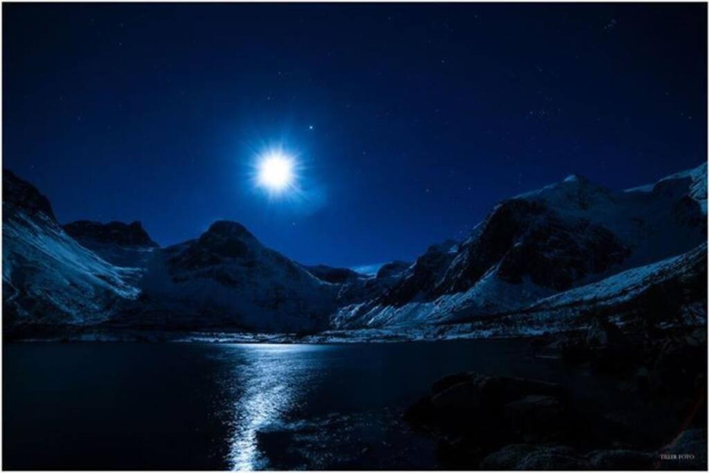 In The Heart Of The Aurora Borealis - Tromso City Extérieur photo