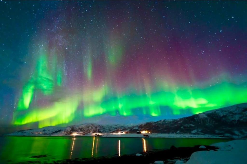 In The Heart Of The Aurora Borealis - Tromso City Extérieur photo