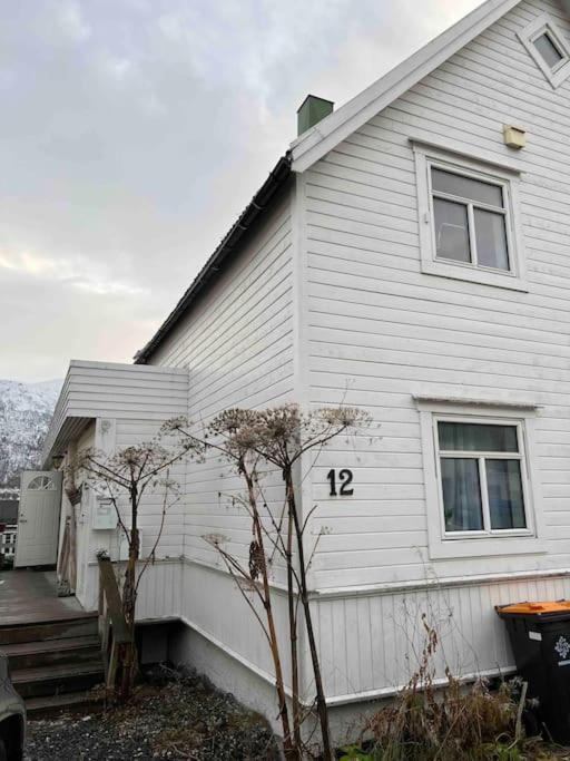 In The Heart Of The Aurora Borealis - Tromso City Extérieur photo